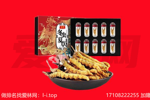 盐都区回收虫草.jpg